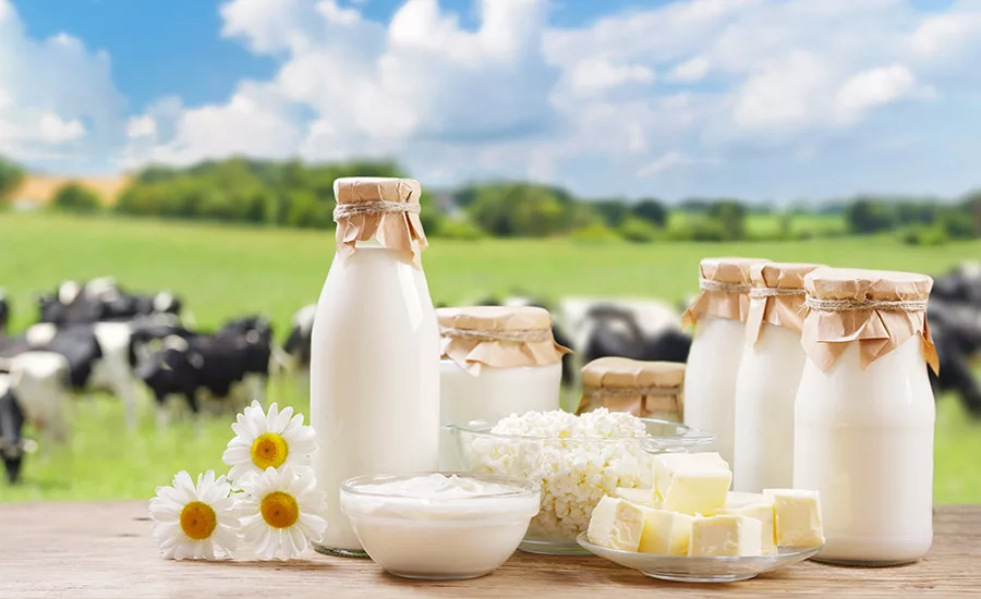 Top 5 Everyday Products That Involve Animal Cruelty