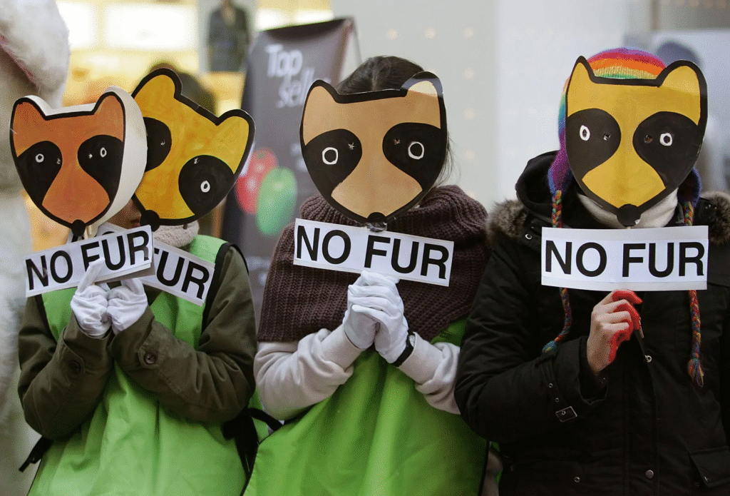 Why Factory Farming Violates Basic Animal Rights